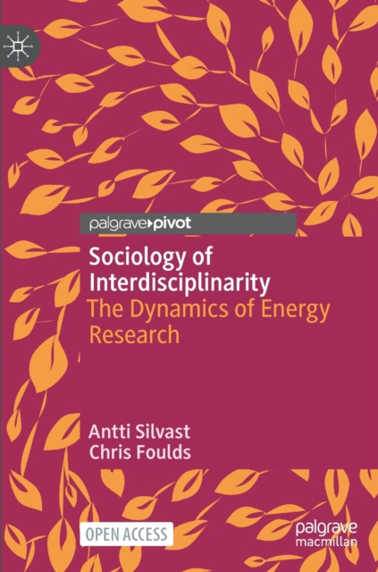 Sociology of Interdisciplinarity : The Dynamics of Energy Research, Hardback Book