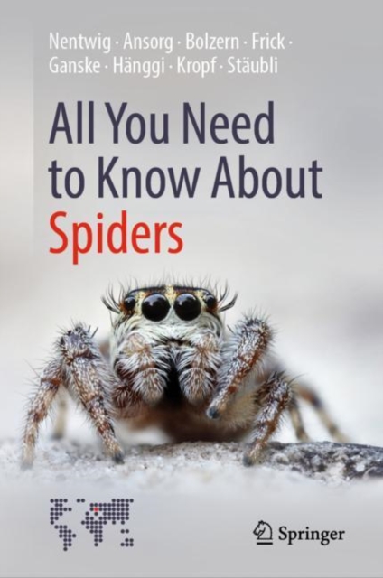 All You Need to Know About Spiders, Hardback Book