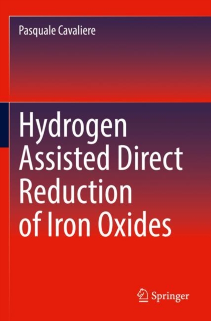Hydrogen Assisted Direct Reduction of Iron Oxides, Paperback / softback Book