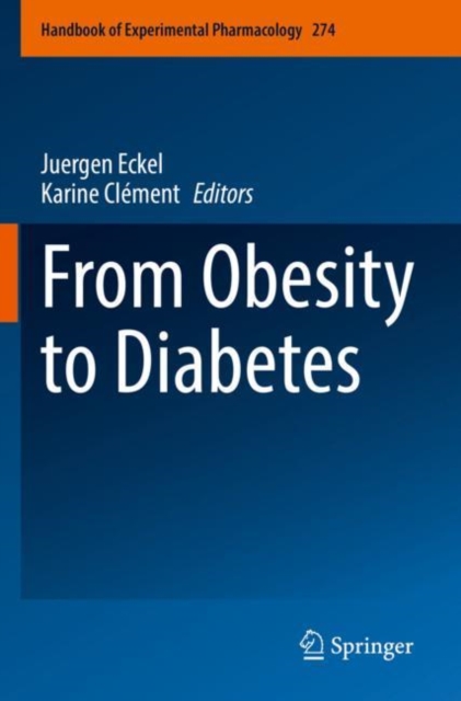 From Obesity to Diabetes, Paperback / softback Book