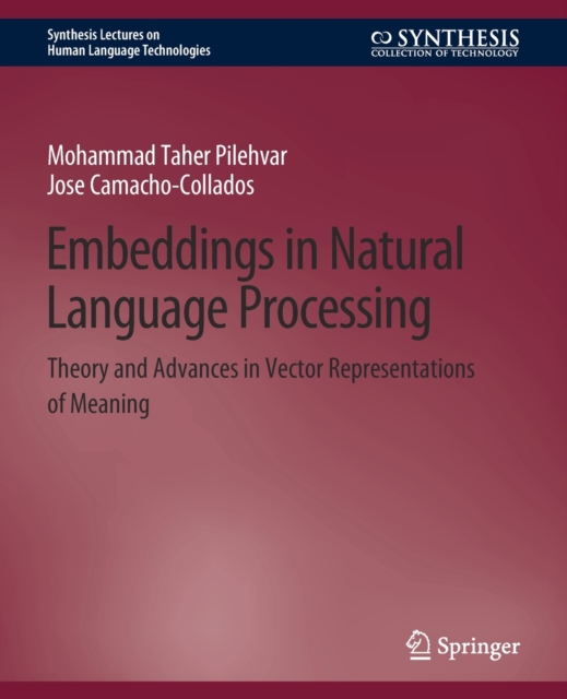 Embeddings in Natural Language Processing : Theory and Advances in Vector Representations of Meaning, Paperback / softback Book