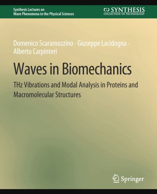 Waves in Biomechanics : THz Vibrations and Modal Analysis in Proteins and Macromolecular Structures, Paperback / softback Book