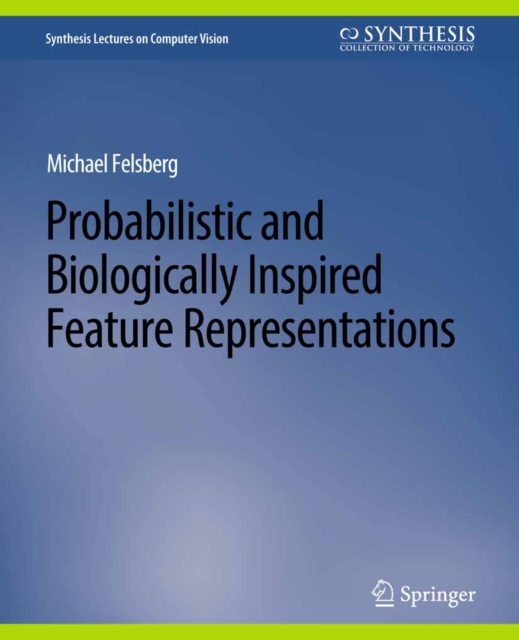 Probabilistic and Biologically Inspired Feature Representations, PDF eBook