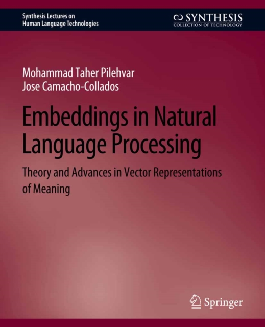 Embeddings in Natural Language Processing : Theory and Advances in Vector Representations of Meaning, PDF eBook