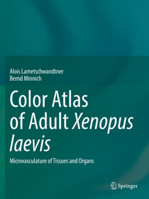 Color Atlas of Adult Xenopus laevis : Microvasculature of Tissues and Organs, Paperback / softback Book