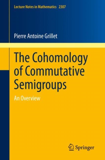 The Cohomology of Commutative Semigroups : An Overview, Paperback / softback Book