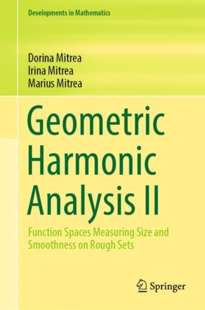 Geometric Harmonic Analysis II : Function Spaces Measuring Size and Smoothness on Rough Sets, Hardback Book
