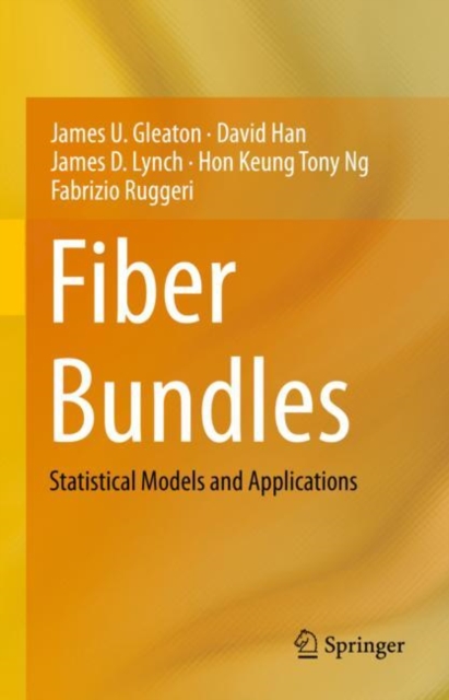 Fiber Bundles : Statistical Models and Applications, Hardback Book