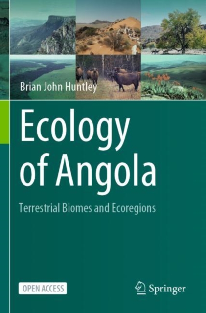 Ecology of Angola : Terrestrial Biomes and Ecoregions, Paperback / softback Book