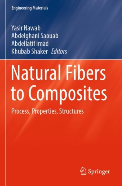 Natural Fibers to Composites : Process, Properties, Structures, Paperback / softback Book
