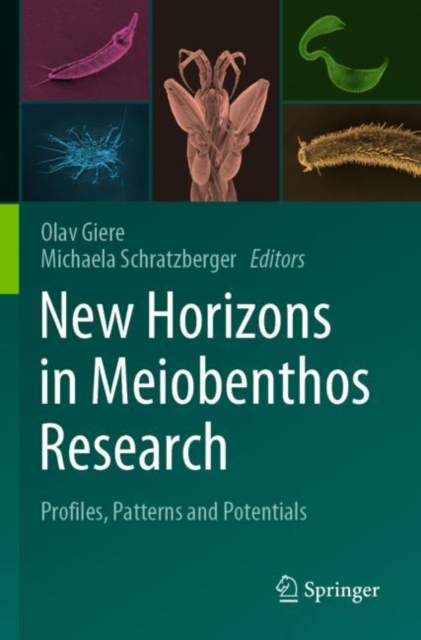 New Horizons in Meiobenthos Research : Profiles, Patterns and Potentials, Paperback / softback Book