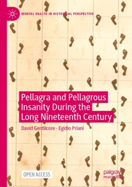 Pellagra and Pellagrous Insanity During the Long Nineteenth Century, Hardback Book
