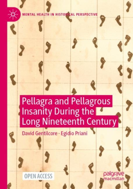 Pellagra and Pellagrous Insanity During the Long Nineteenth Century, Paperback / softback Book