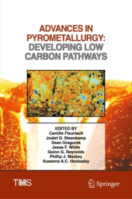 Advances in Pyrometallurgy : Developing Low Carbon Pathways, EPUB eBook