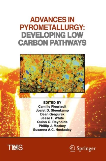 Advances in Pyrometallurgy : Developing Low Carbon Pathways, Paperback / softback Book