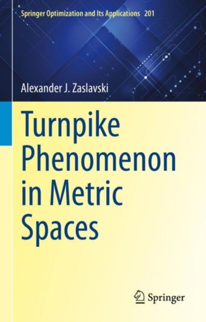 Turnpike Phenomenon in Metric Spaces, Hardback Book