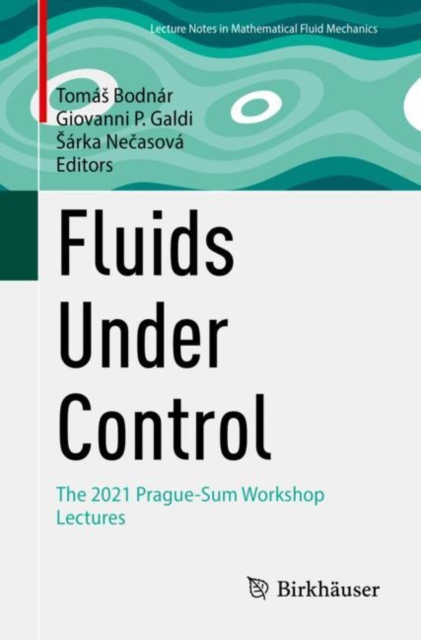 Fluids Under Control : The 2021 Prague-Sum Workshop Lectures, EPUB eBook
