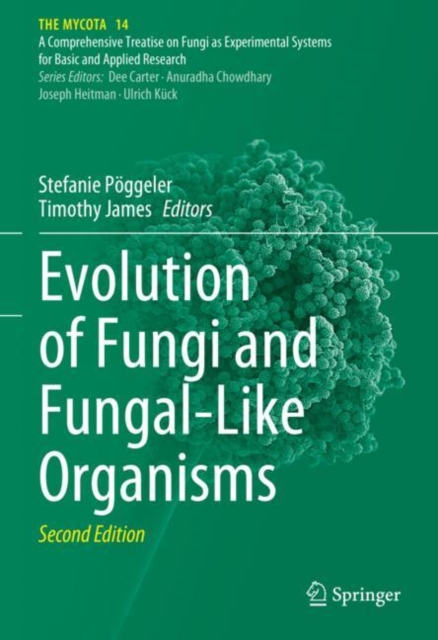 Evolution of Fungi and Fungal-Like Organisms, Hardback Book