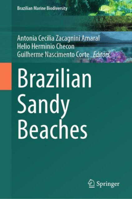 Brazilian Sandy Beaches, EPUB eBook