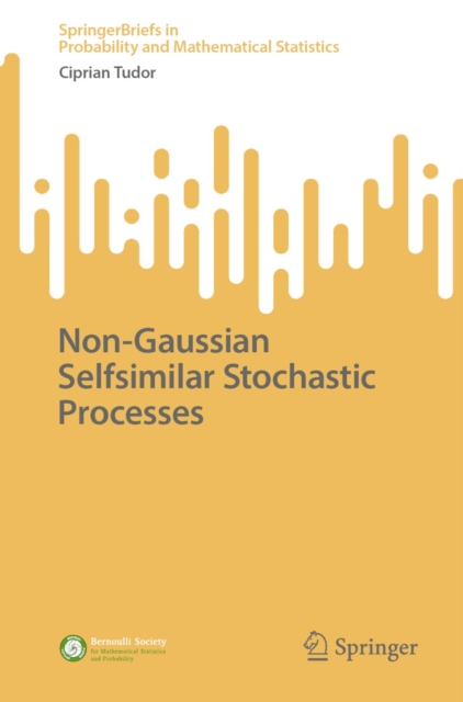 Non-Gaussian Selfsimilar Stochastic Processes, EPUB eBook