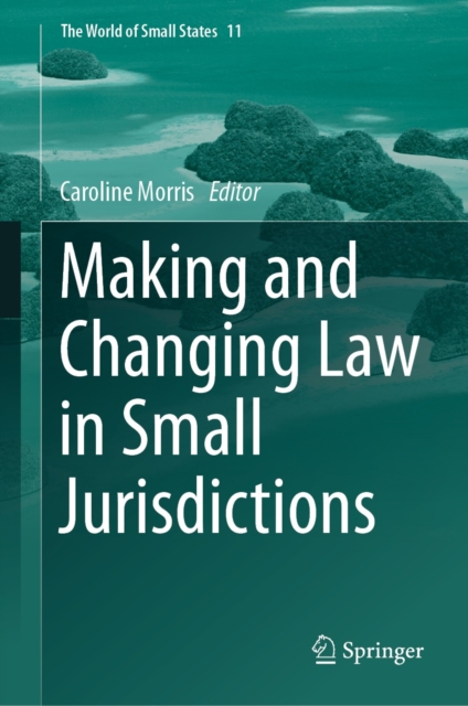 Making and Changing Law in Small Jurisdictions, EPUB eBook