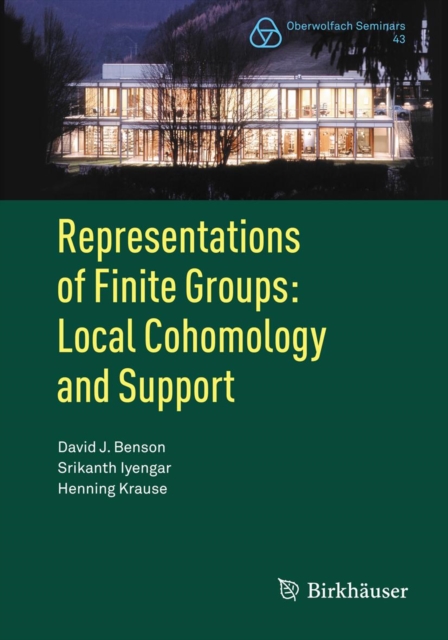 Representations of Finite Groups: Local Cohomology and Support, PDF eBook
