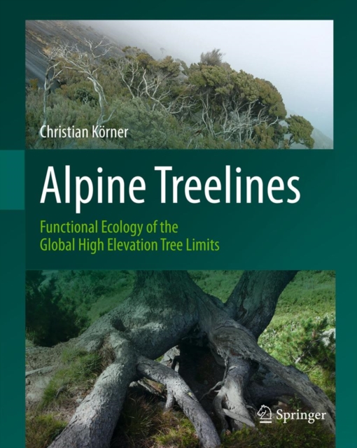 Alpine Treelines : Functional Ecology of the Global High Elevation Tree Limits, PDF eBook