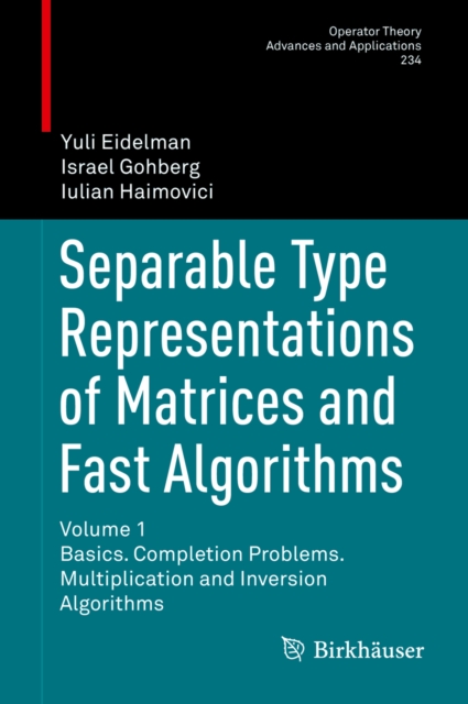 Separable Type Representations of Matrices and Fast Algorithms : Volume 1 Basics. Completion Problems. Multiplication and Inversion Algorithms, PDF eBook