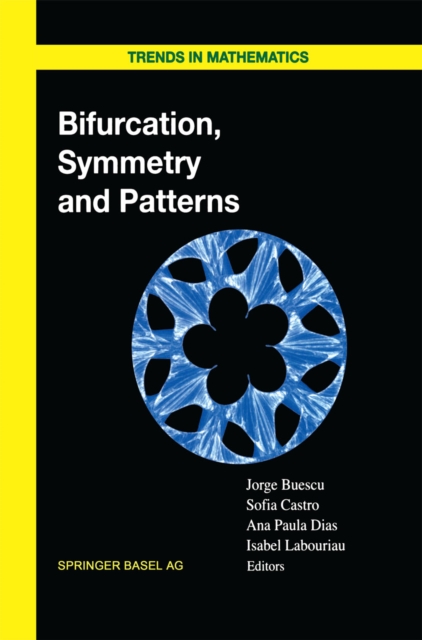 Bifurcation, Symmetry and Patterns, PDF eBook