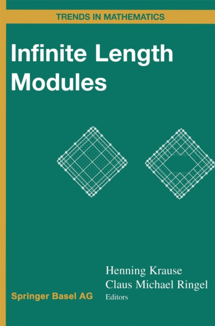Infinite Length Modules, PDF eBook