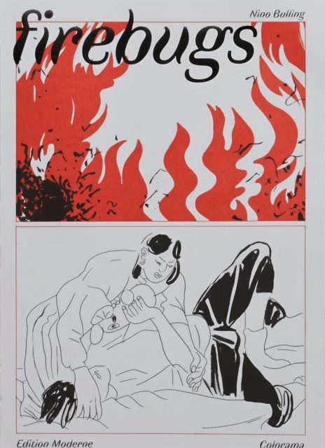 Firebugs, Paperback / softback Book