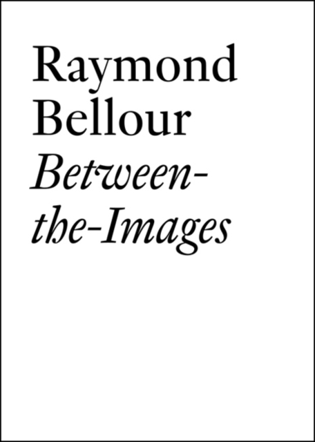 Raymond Bellour : Between-the-Images, Paperback / softback Book