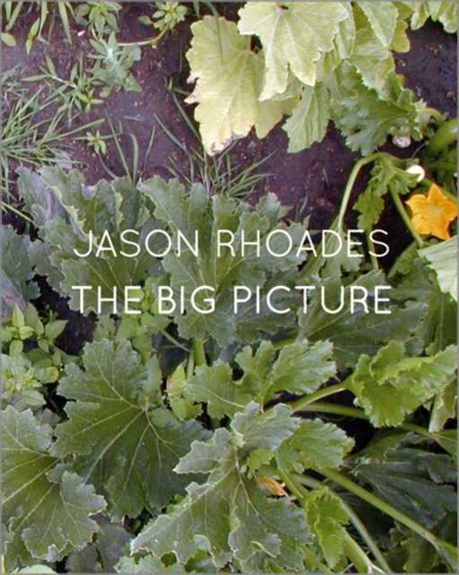Jason Rhoades : The Big Picture, Hardback Book