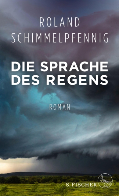 Die Sprache des Regens : Roman, EPUB eBook