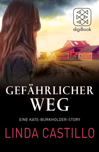Gefahrlicher Weg : Eine Kate-Burkholder-Story, EPUB eBook