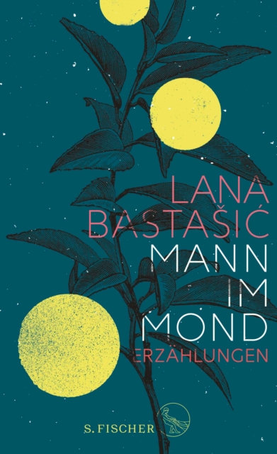 Mann im Mond : Erzahlungen, EPUB eBook