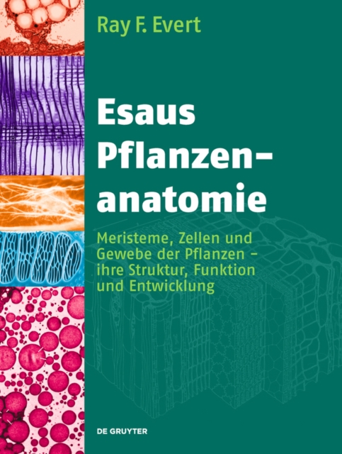 Esaus Pflanzenanatomie : Meristeme, Zellen und Gewebe der Pflanzen - ihre Struktur, Funktion und Entwicklung, PDF eBook
