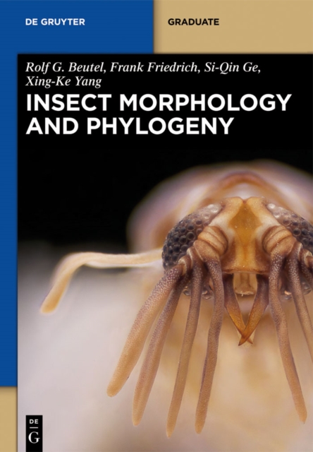 Insect Morphology and Phylogeny : A Textbook for Students of Entomology, PDF eBook