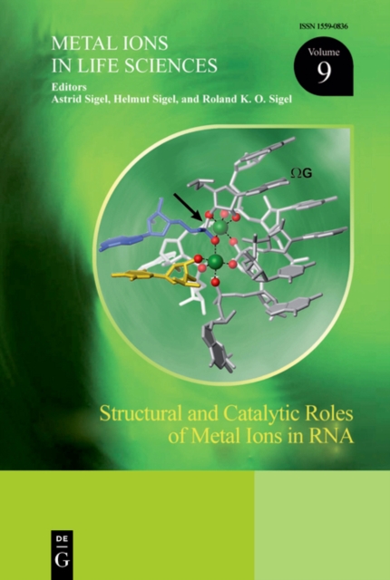 Structural and Catalytic Roles of Metal Ions in RNA, PDF eBook