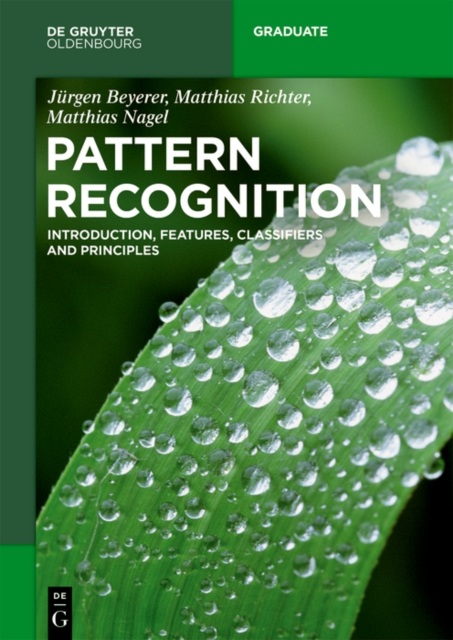 Pattern Recognition : Introduction, Features, Classifiers and Principles, PDF eBook