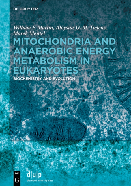 Mitochondria and Anaerobic Energy Metabolism in Eukaryotes : Biochemistry and Evolution, PDF eBook