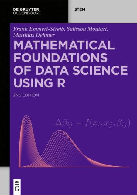 Mathematical Foundations of Data Science Using R, PDF eBook