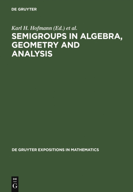 Semigroups in Algebra, Geometry and Analysis, PDF eBook