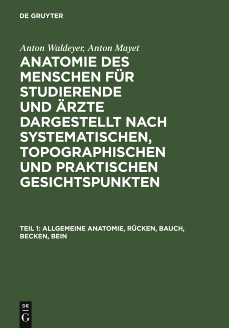 Allgemeine Anatomie, Rucken, Bauch, Becken, Bein, PDF eBook