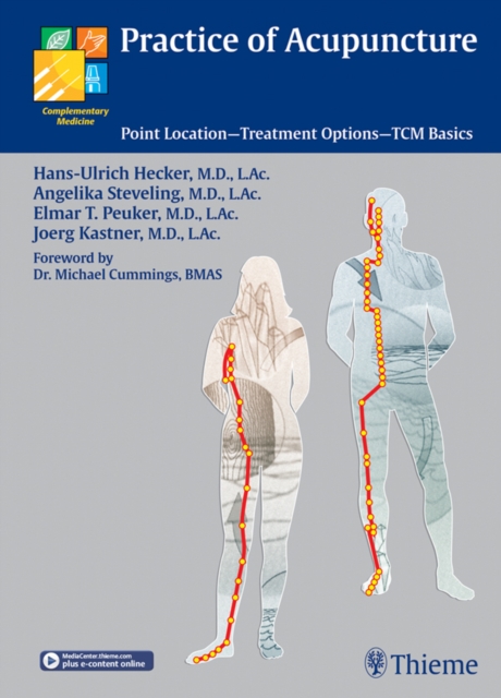 Practice of Acupuncture : Point Location - Treatment Options - TCM Basics, EPUB eBook