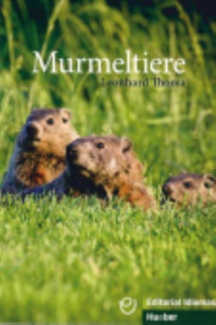 Murmeltiere - Buch, Paperback / softback Book