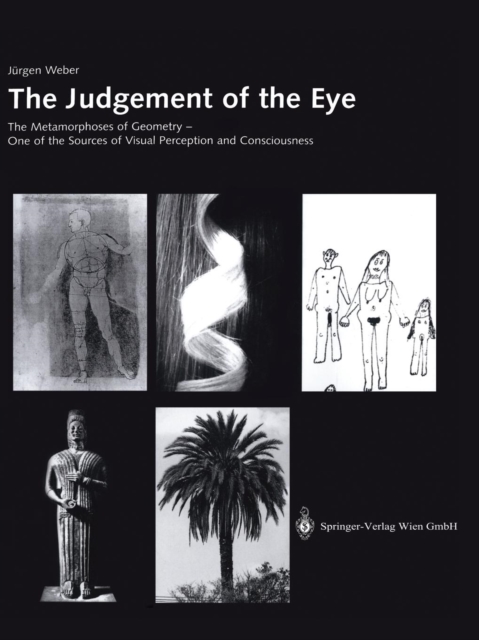 The Judgement of the Eye : The Metamorphoses of Geometry - One of the Sources of Visual Perception and Consciousness, Paperback / softback Book
