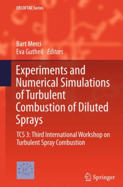 Experiments and Numerical Simulations of Turbulent Combustion of Diluted Sprays : TCS 3: Third International Workshop on Turbulent Spray Combustion, PDF eBook