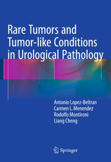 Rare Tumors and Tumor-like Conditions in Urological Pathology, PDF eBook