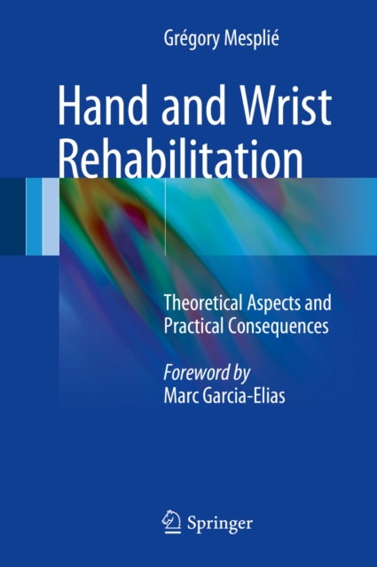 Hand and Wrist Rehabilitation : Theoretical Aspects and Practical Consequences, PDF eBook
